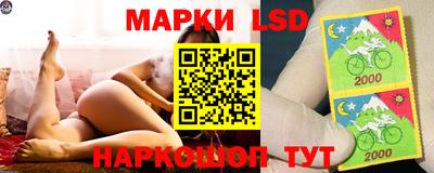 амф Обь