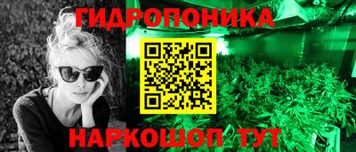 амф Обь