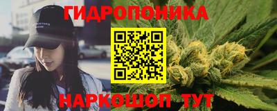 амф Обь