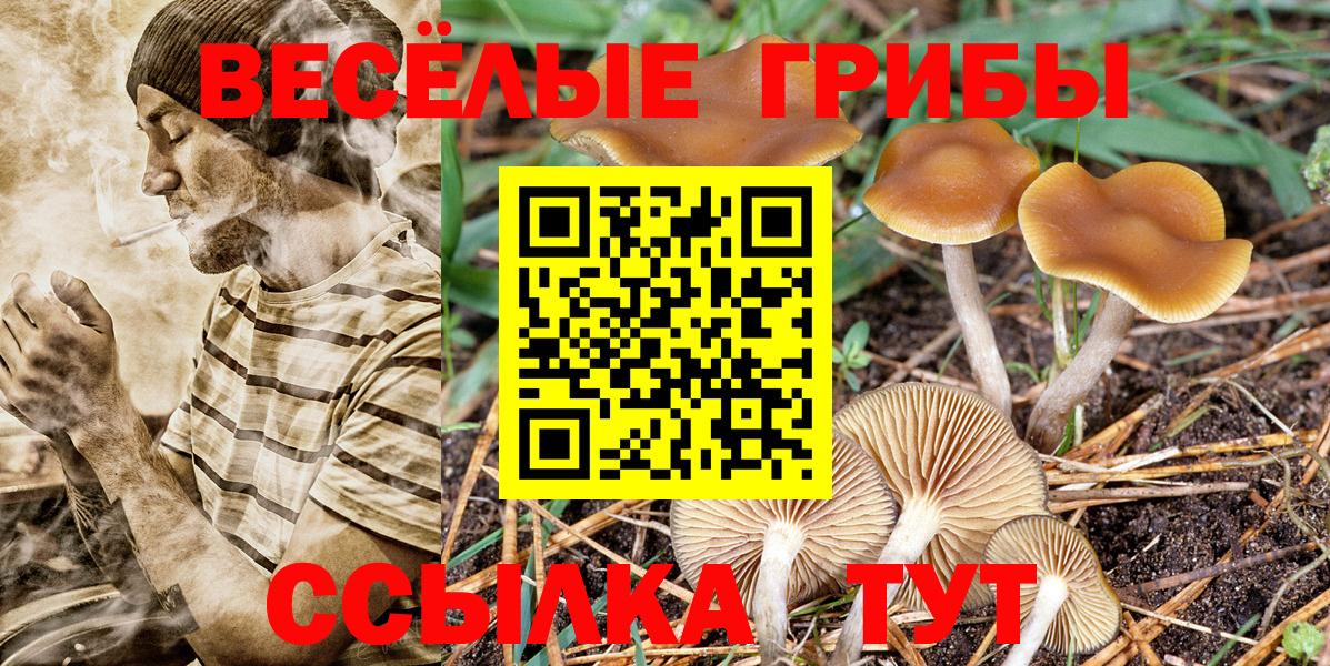 Саянск  Галлюциногенные грибы мицелий  Вход с VPN 